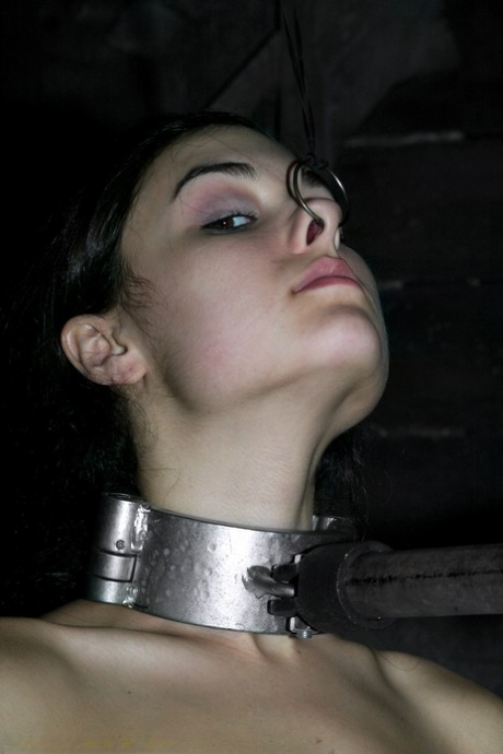 Sasha Grey sex photo